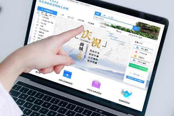齐鲁云采接入
